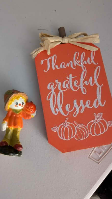 Photo of free Holiday decor (Hayward Downtown) #3