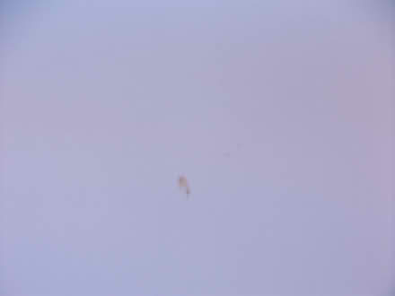 Photo of free Roller Blind 200cm W x160max WHITE (ME16 - Allington) #4