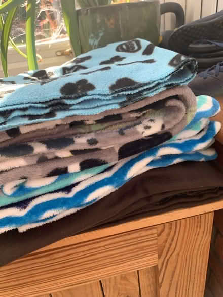 Photo of free Fleece sheets (Keynsham) #1