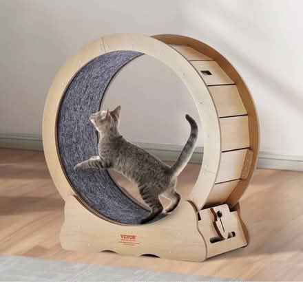 Photo of Cat exercise wheel (Queens Park W10) #1