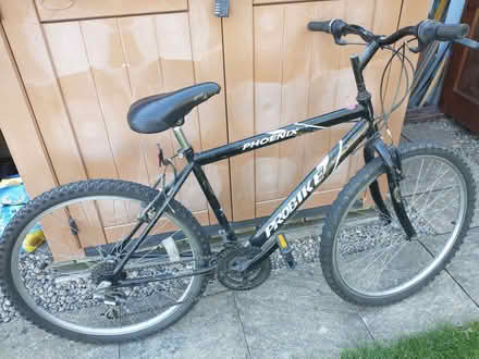 Photo of free Adult bike (Presteigne LD8) #2