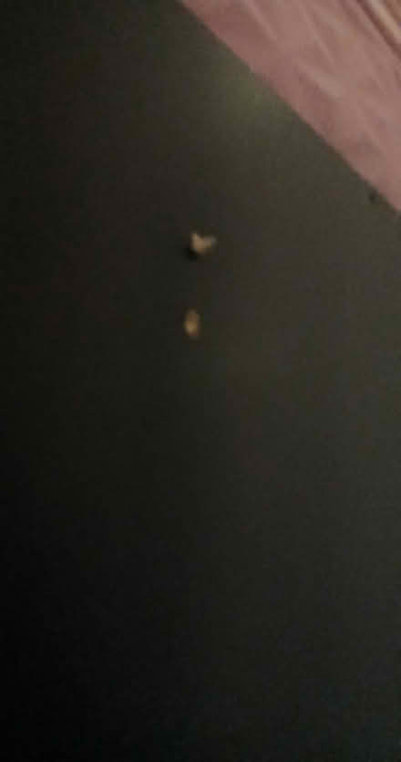 Photo of free Black wardrobe (Derby Littleover DE23) #2