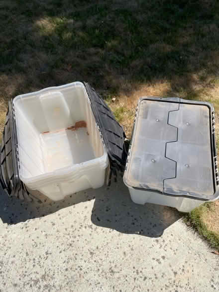 Photo of free Plastic storage bins (Pleasanton, CA) #1