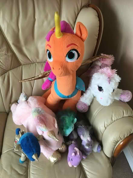 Photo of free Assorted Unicorns (Euxton PR7) #1