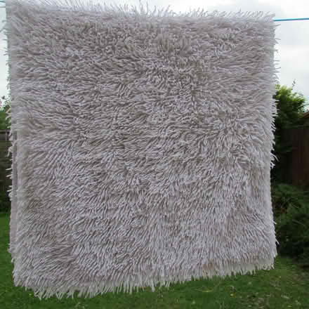 Photo of free Rug (Agar Nook LE67) #1