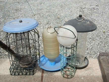 Photo of free Bird Stuff (Buckley CH7) #3