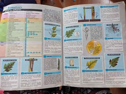 Photo of free Vegetable Doctor - book (Sedgley DY3) #2