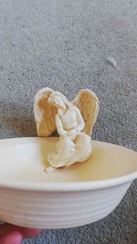 Photo of free Decorative algel bowl (Nottingham NG5) #2