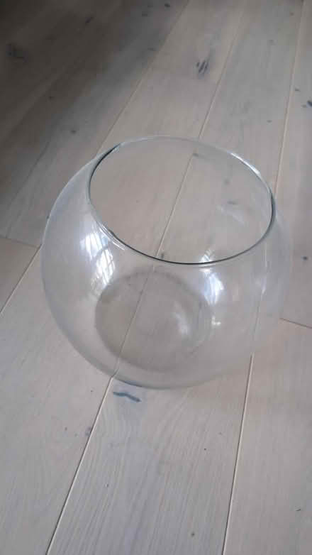 Photo of free 35cm Round Glass Vase / Fish Bowl (Elephant and Castle SE17) #1