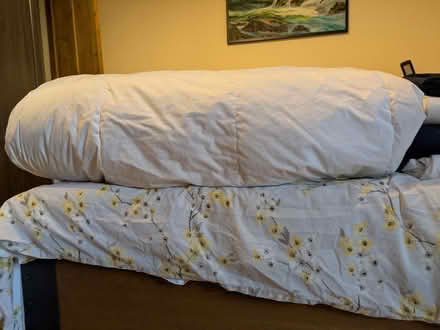 Photo of free Bedding: duvet, sheets, pillow case (Leighton Buzzard LU7) #2