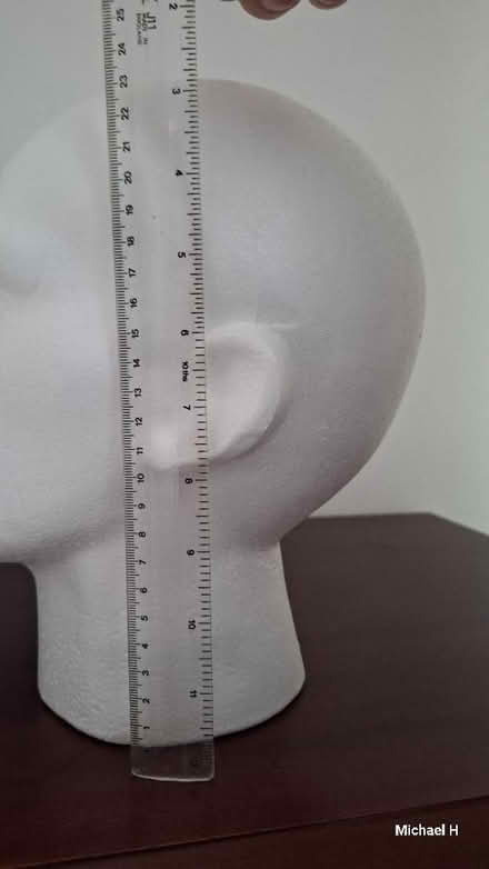 Photo of free Polystyrene heads x2 (Conniburrow MK14) #2