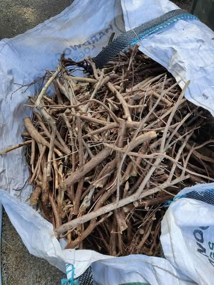 Photo of free kindling (Wirksworth, DE4) #1