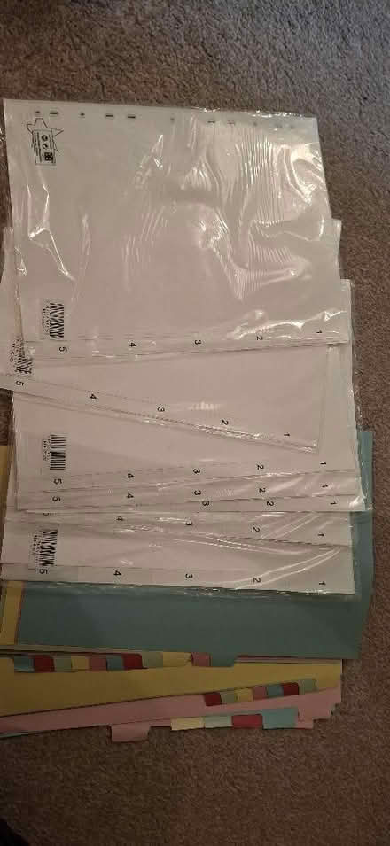 Photo of free Dividers for A4 ring binders (Chelmsford CM1) #1