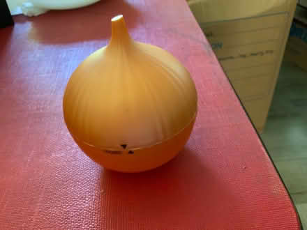 Photo of free Onion keeper (East Palo Alto) #1