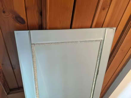 Photo of free Aria Diamante Dress Mirror 129x40cm (Braithwaite CA12) #4