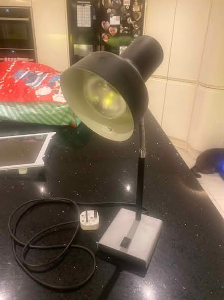 Photo of free Flexible lamp (High Wycombe) #1
