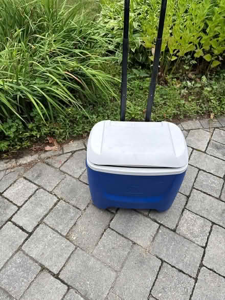 Photo of free Cooler (Lexington center) #1