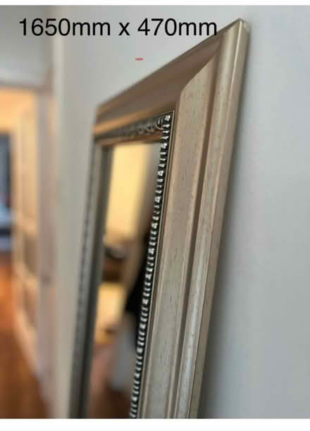 Photo of free Tall mirror (EN2) #2