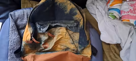 Photo of free Mi backpack (CR0) #1