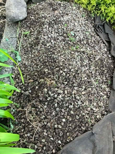 Photo of free Gravel(limestone chips?) (CT14) #1