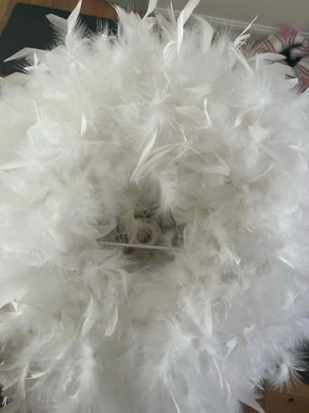 Photo of free Feather lampshade (Anniesland, glasgow, G12) #2