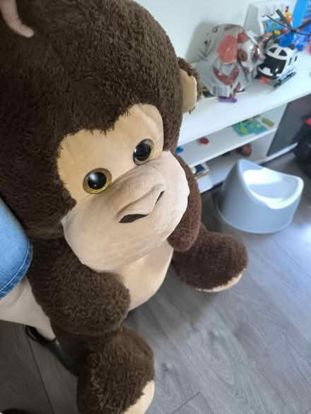 Photo of free Monkey (Lewisham) #2