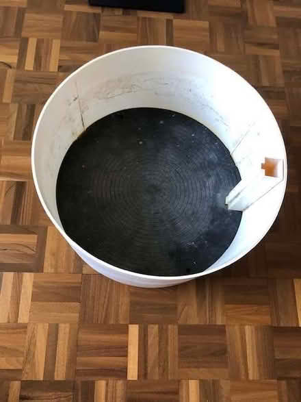 Photo of free Large indoor planter on castors (Maidenhead SL6) #3