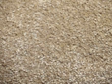 Photo of free Carpet offcut (Sling LL57) #3