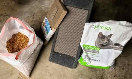 Photo of free cat supplies: litter,food,scratcher (west linn on borland rd) #1