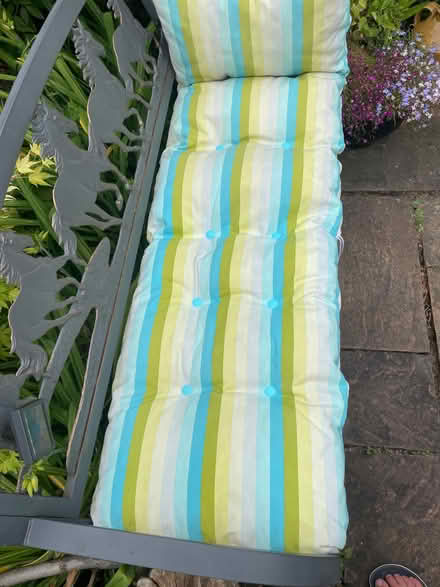 Photo of free Sunbed cushion (Northaw EN6) #3