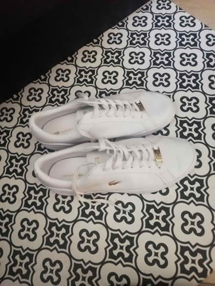 Photo of free Lacoste white trainers (Chatham ME5, Walderslade) #1