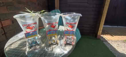 Photo of free Crabbing buckets and lines (Eltham SE9) #1