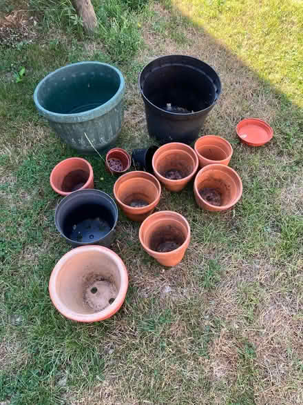 Photo of free Plants pots mostly terracotta (Kings Hill ME19) #2
