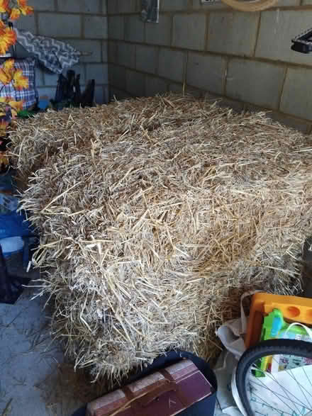 Photo of free Straw bales (Kemsley Sittingbourne me10) #1