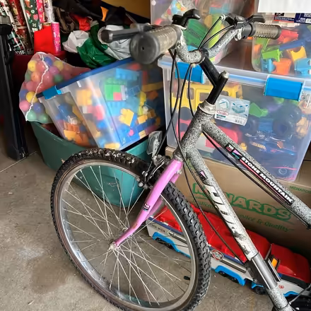 Photo of free Bike (Romulus) #3