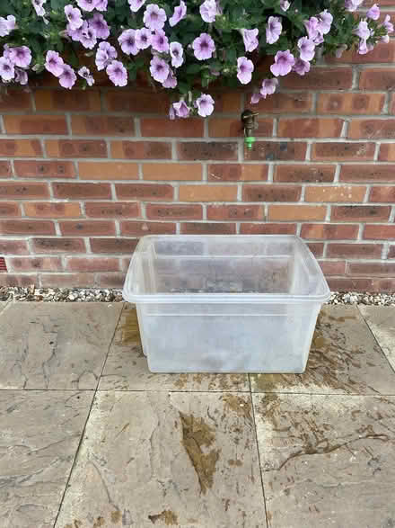 Photo of free Plastic storage box (Appleton) #1