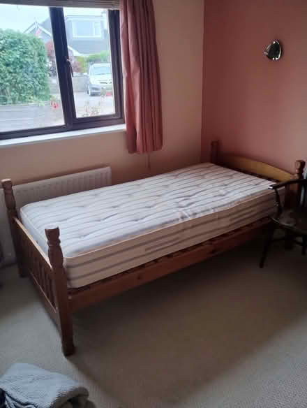 Photo of free Pine single beds (2) (Edginswell TQ2) #1