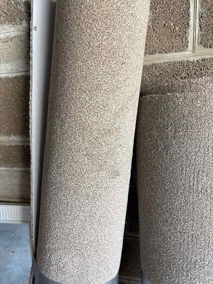 Photo of free Carpet Brand new 330x155cm (St Marychurch, Torquay) #2