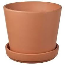 Photo of Large plant pots (Croxley Green WD3) #1