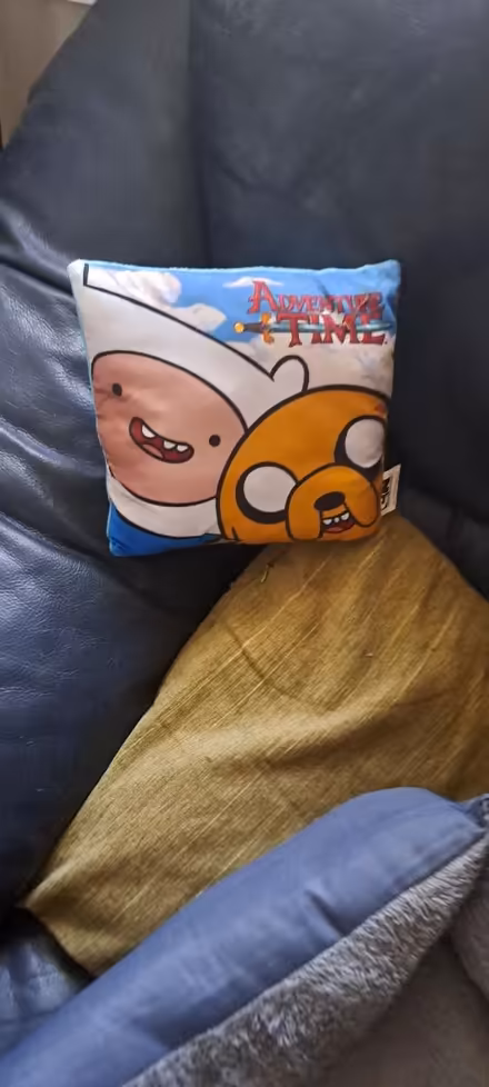 Photo of free 20cm adventure time cushion (CR0) #1