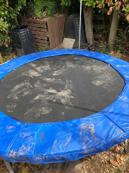 Photo of free Trampoline with no nets (B14 Yardley Wood Birmingham) #1