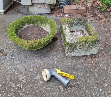 Photo of free hypertufa containers (Bellevue) #1