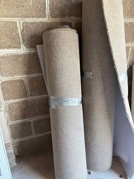 Photo of free Carpet Brand new 330x129cm (St Marychurch, Torquay) #1