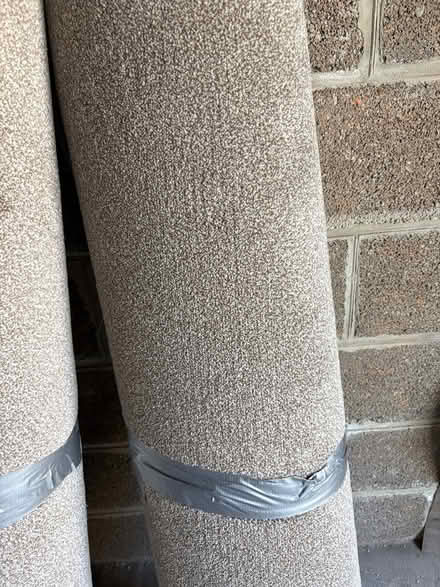 Photo of free Carpet Brand new 330x129cm (St Marychurch, Torquay) #2