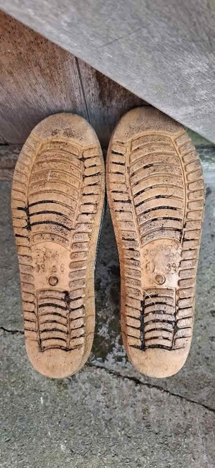Photo of free Wellingtons, size 6 (Harrogate HG1) #2