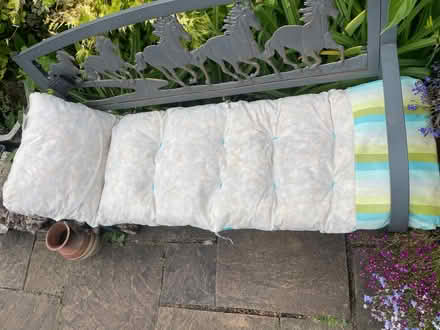 Photo of free Sunbed cushion (Northaw EN6) #1