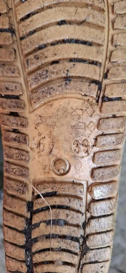 Photo of free Wellingtons, size 6 (Harrogate HG1) #3