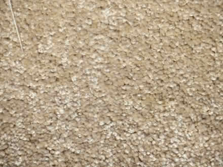 Photo of free Carpet offcut (Sling LL57) #2