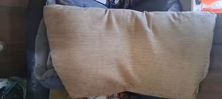 Photo of free Large beige back pillow (CR0) #1