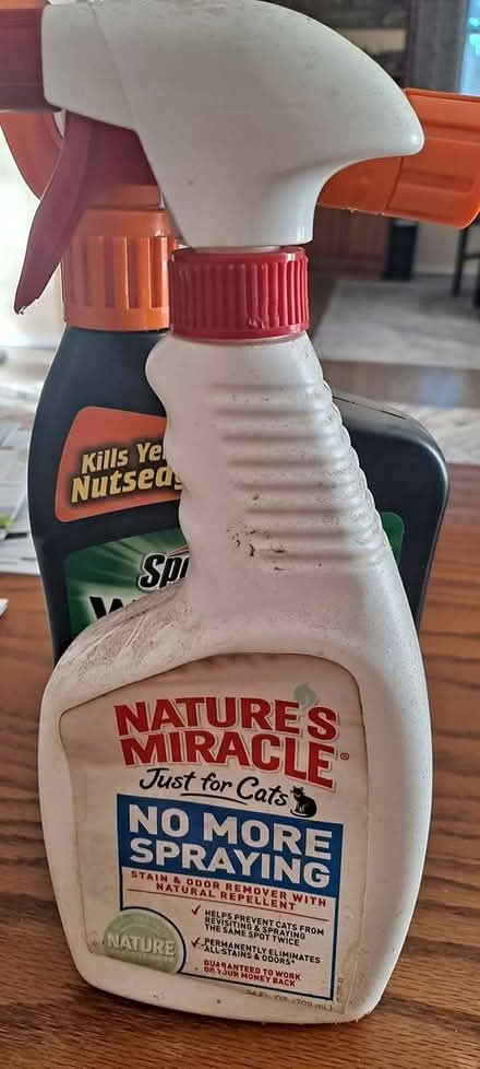 Photo of free Nature miracle for cats (South Bay) #1